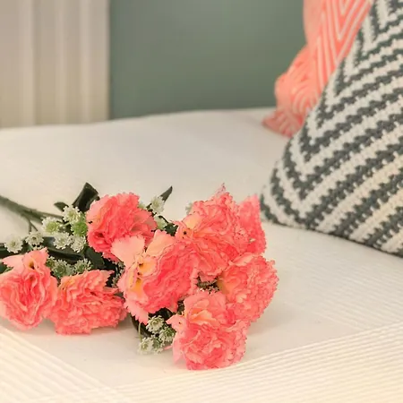 Sao Bento Gallery Appartamento *